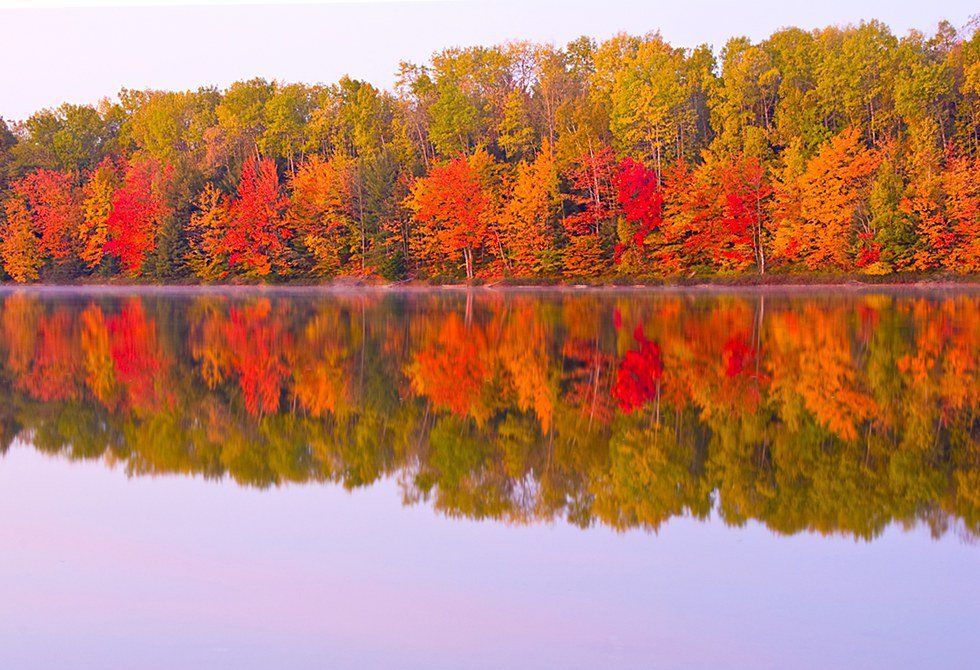 Fall Things to do in Michigan