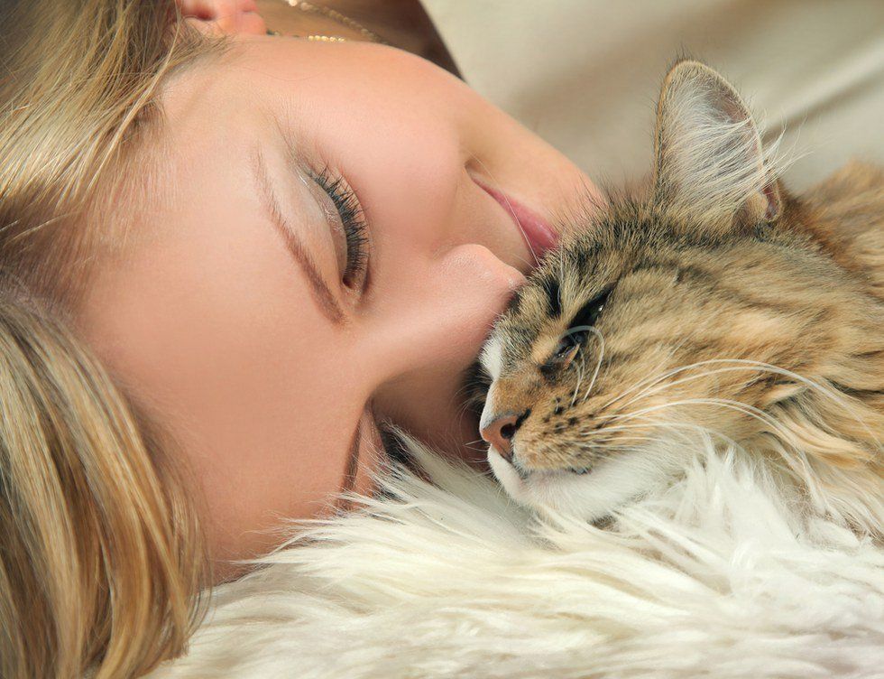 10 Reasons Why It’s Better To Have A Cat Than A Boyfriend