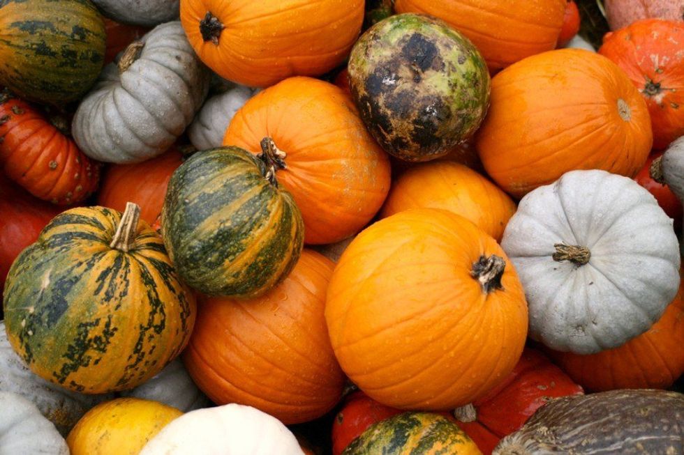 Things That Haven't Been Pumpkin Spiced But Probably Should(n't) Be