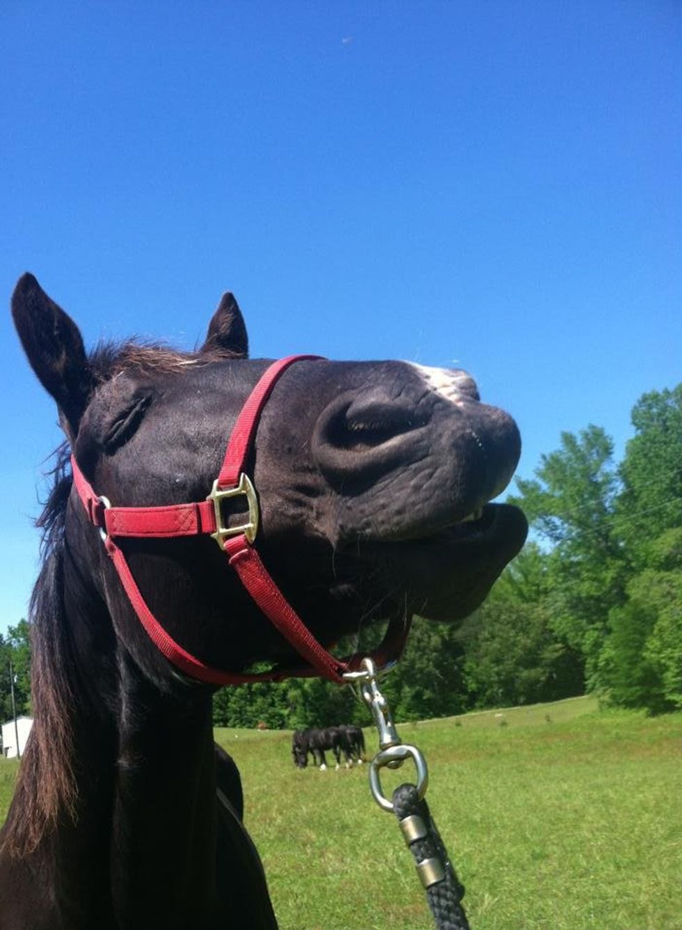 You Need To Stop And Smell The Carrots