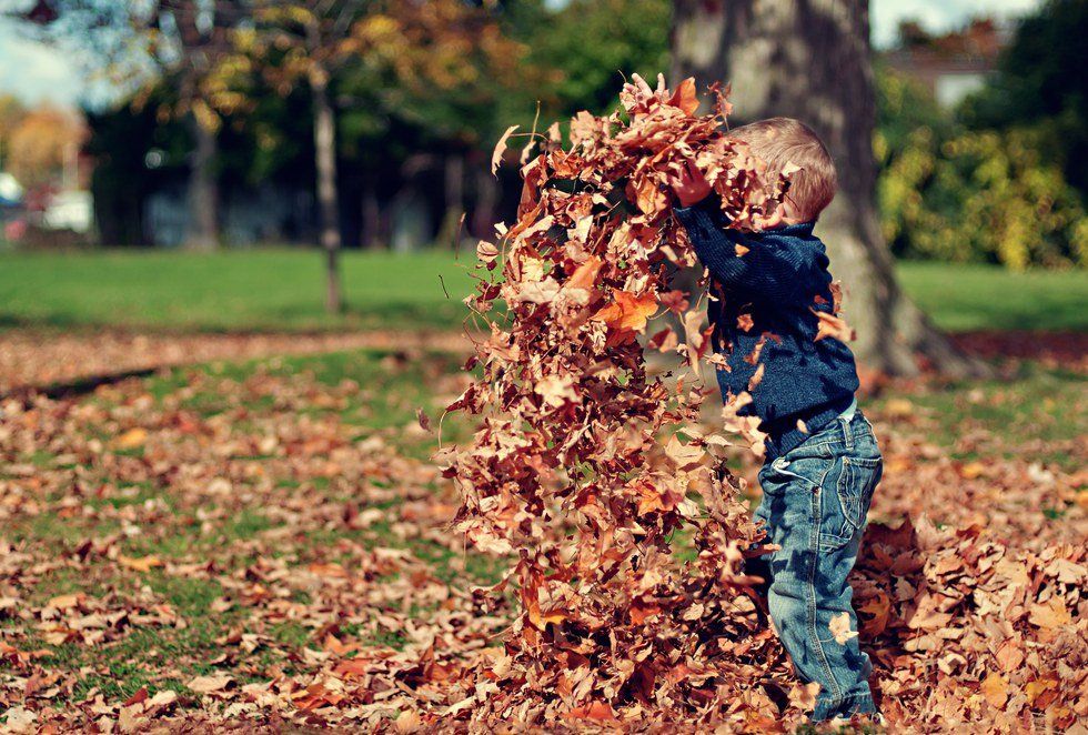 It's Time To Fall Into Autumn