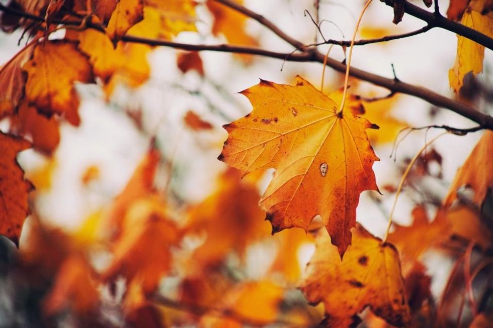 The 10 Reasons Why I Love Fall