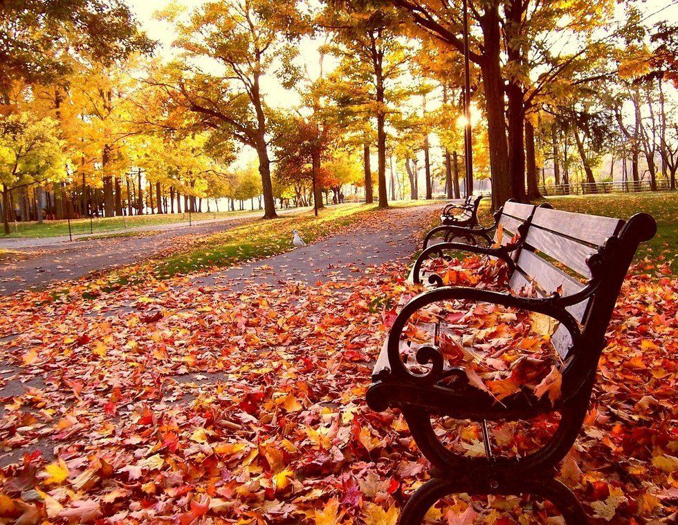 6 Reasons Why Fall Is The Best Season