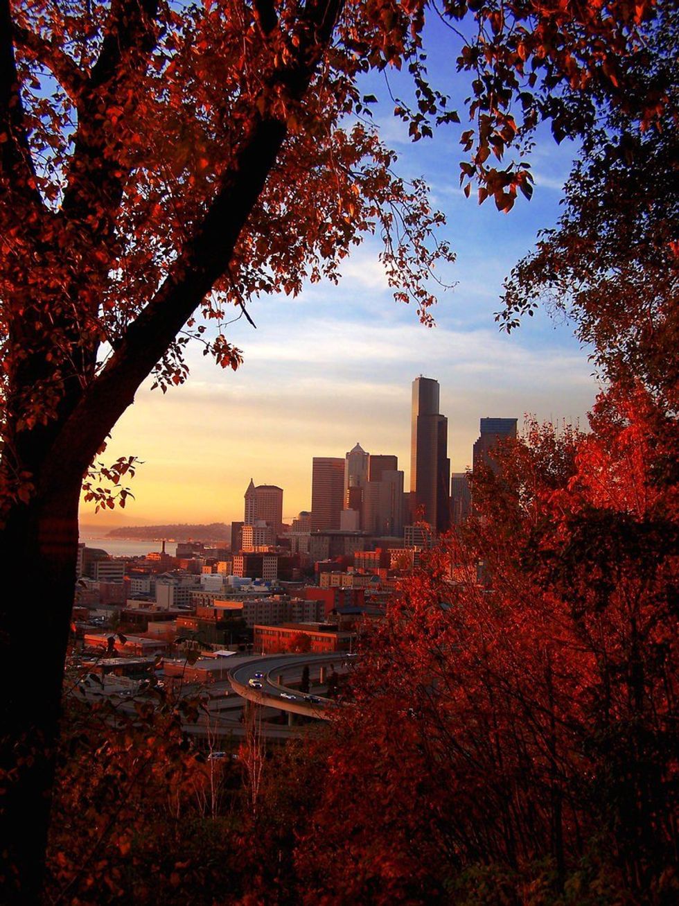 10.5 Things To Do In Seattle This Fall