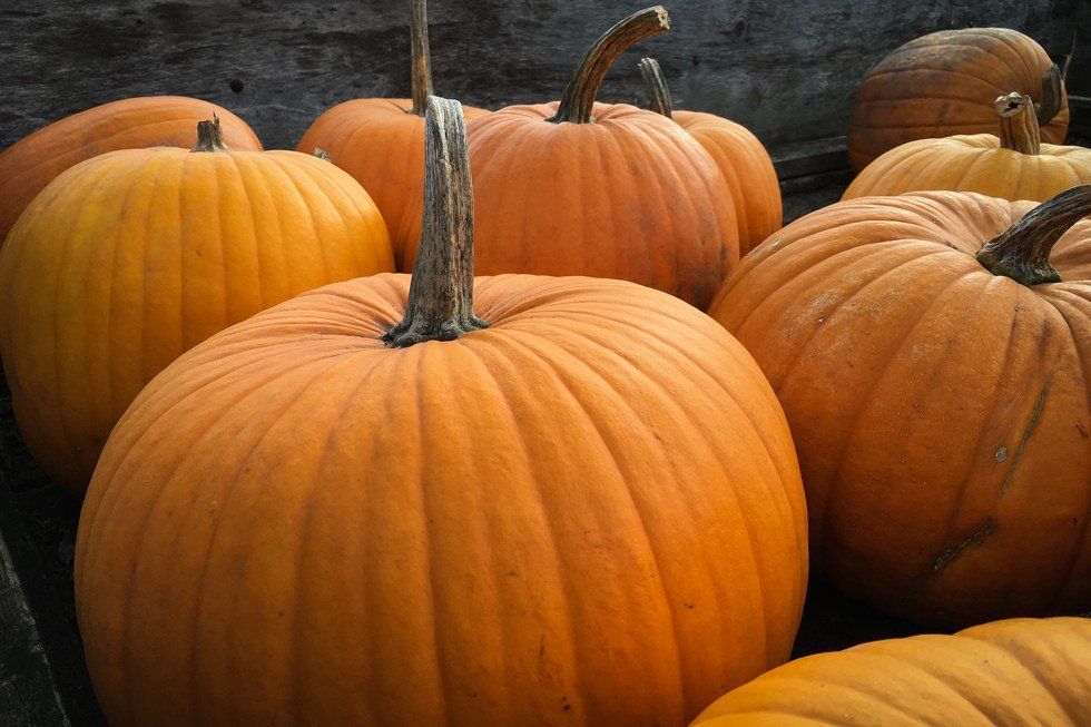 Pumpkin Spice: Do's And Don'ts