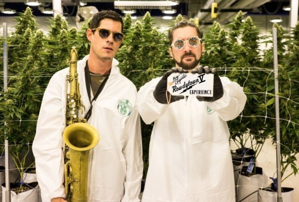 Big Gigantic's New Strain of Weed