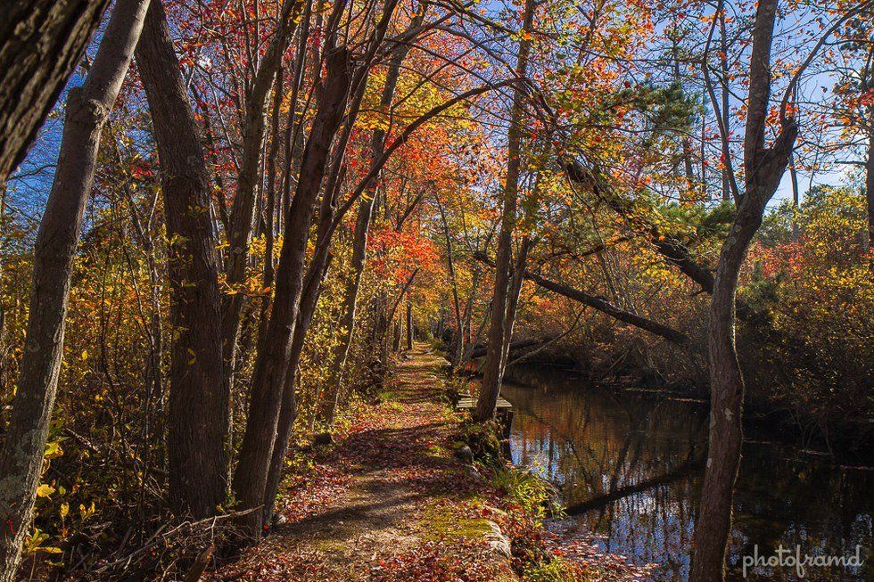 Missing Fall From Florida