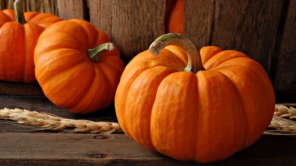 Pumpkin Lovers Rejoice, I Have Great News