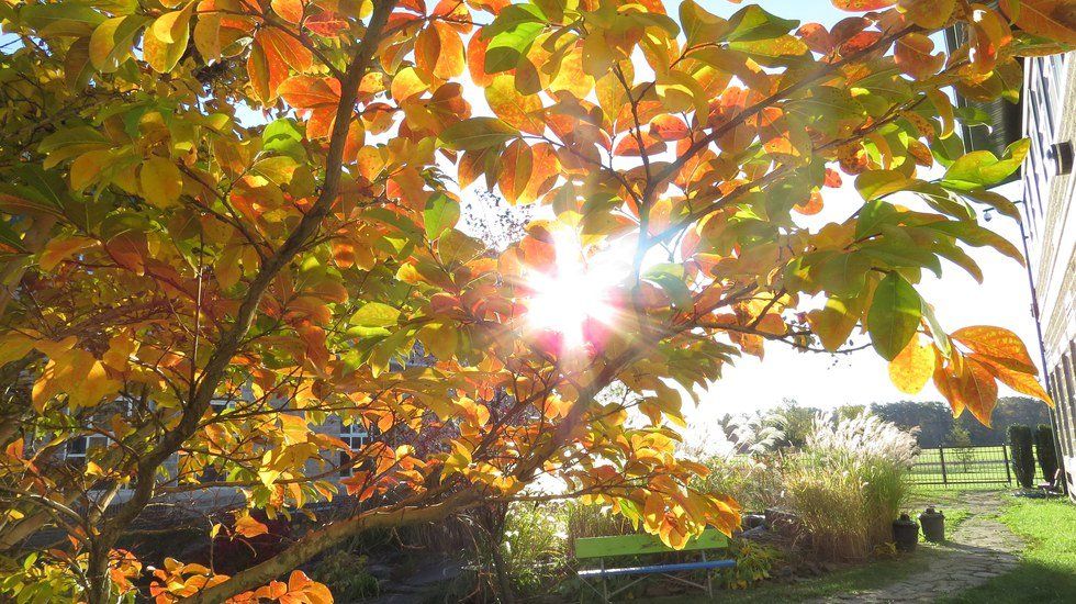 12 Reasons Fall is the Best Time of the Year