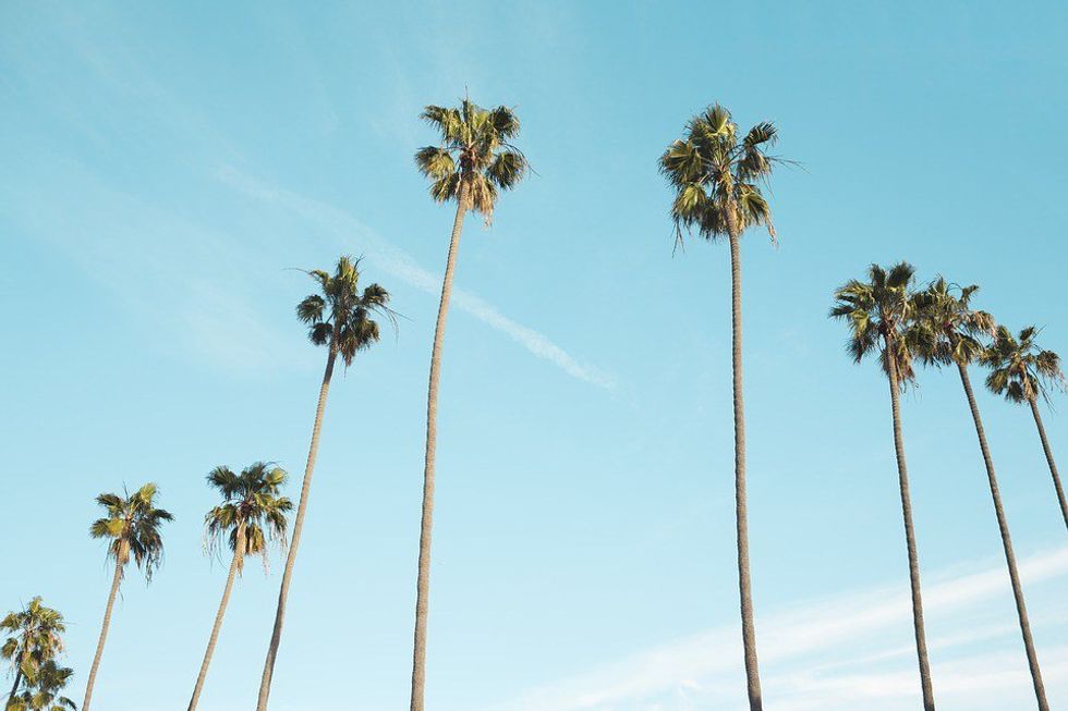 8 Signs You're a Southern Californian