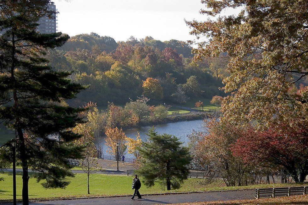 The Best Parks For Fall In Staten Island