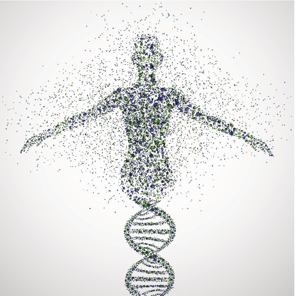 What Is The Human Genome Project?