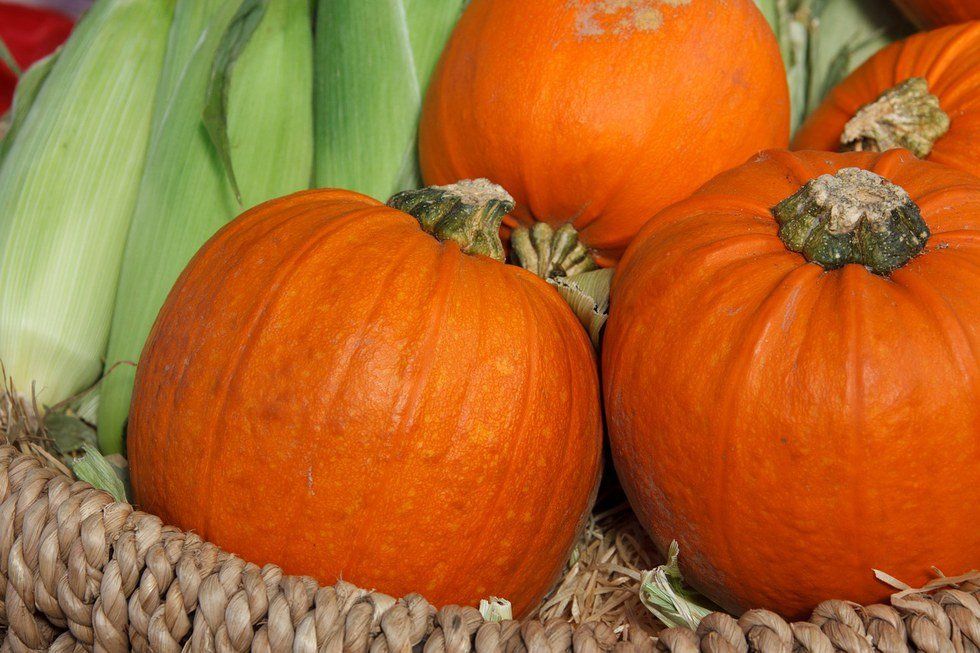 An Open Letter To All Things Pumpkin Spice