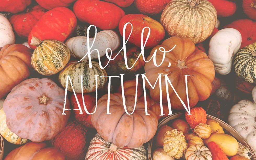 10 Things To Get Excited About For Fall Other Than The PSL