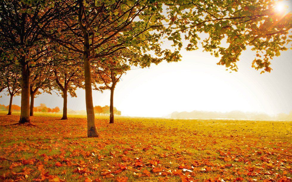 15 Reason Why Fall Is The Best Season Of All