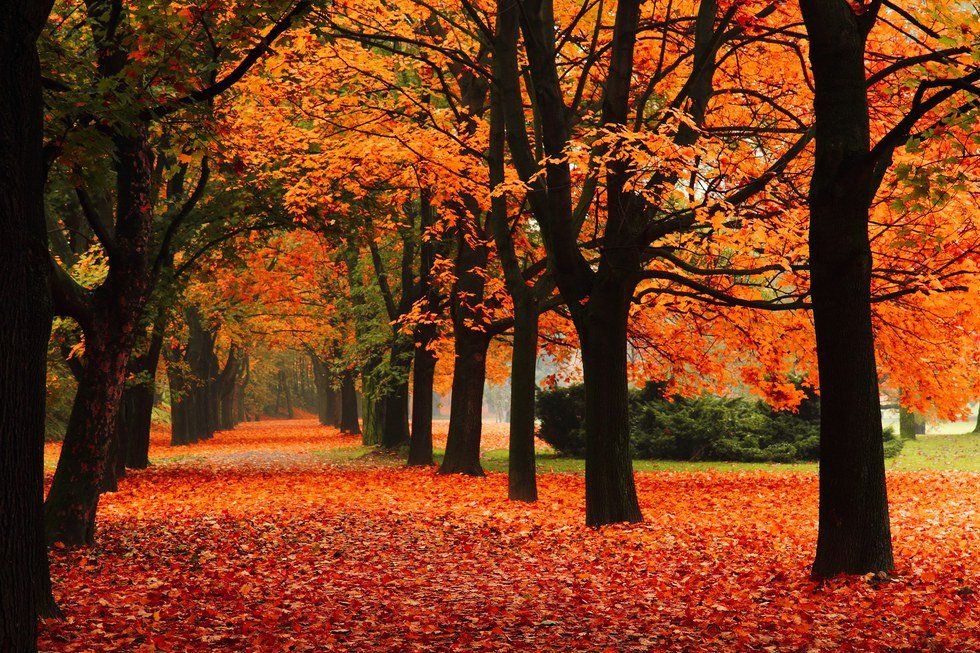 The 11 Best Things About Fall