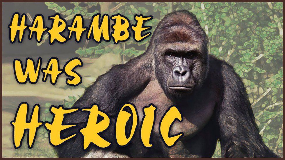 The Internet Sensation: Harambe