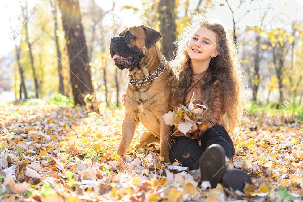 If You Give A College Student A Dog...