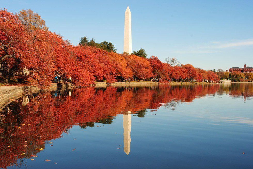 Three Fall DC Must Dos