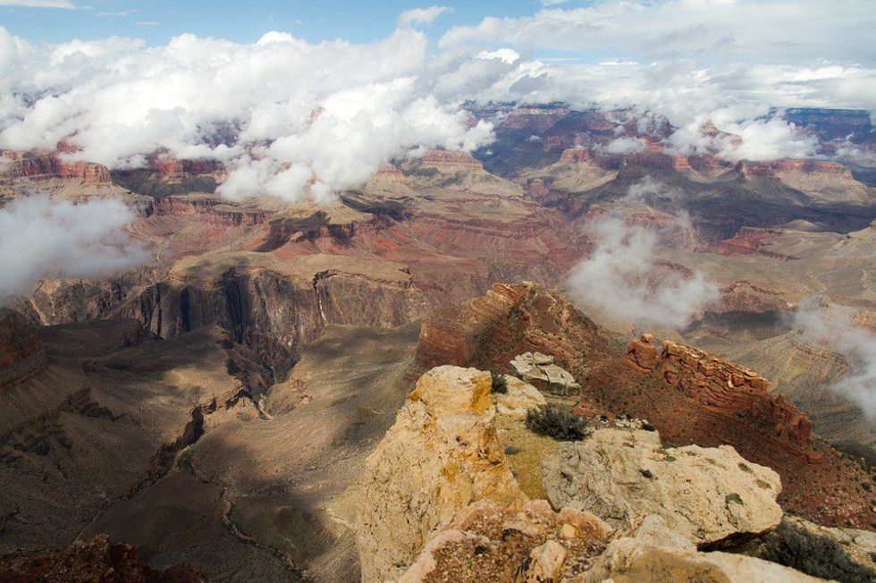 Grand Canyon Tram: An Environmental Demise