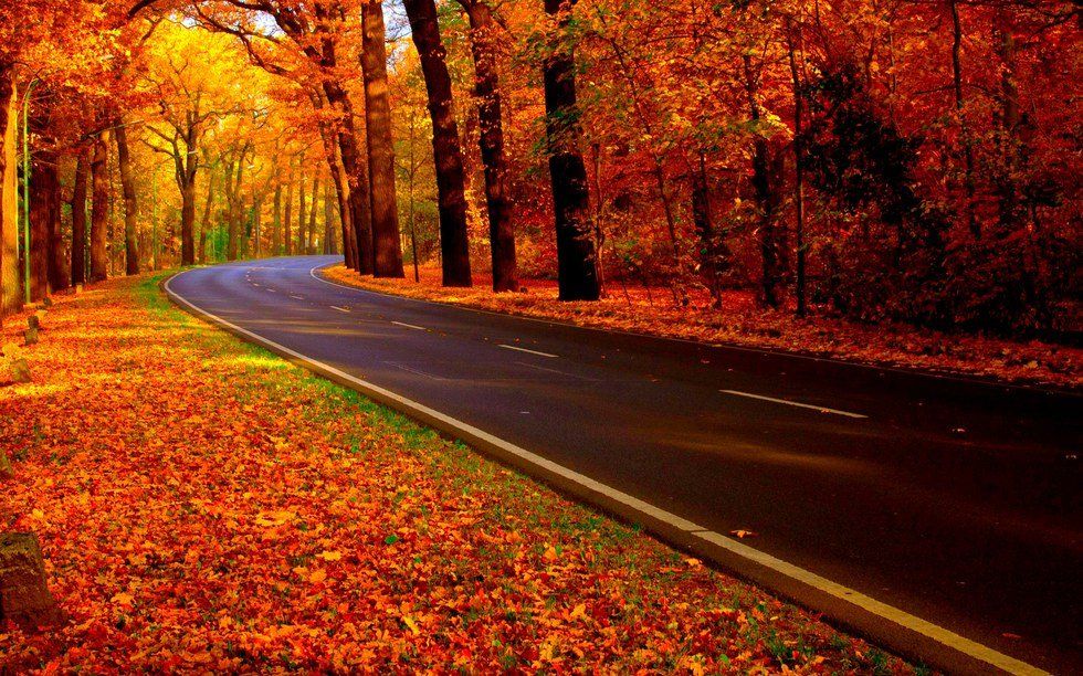 43 Reasons Why I Love Fall