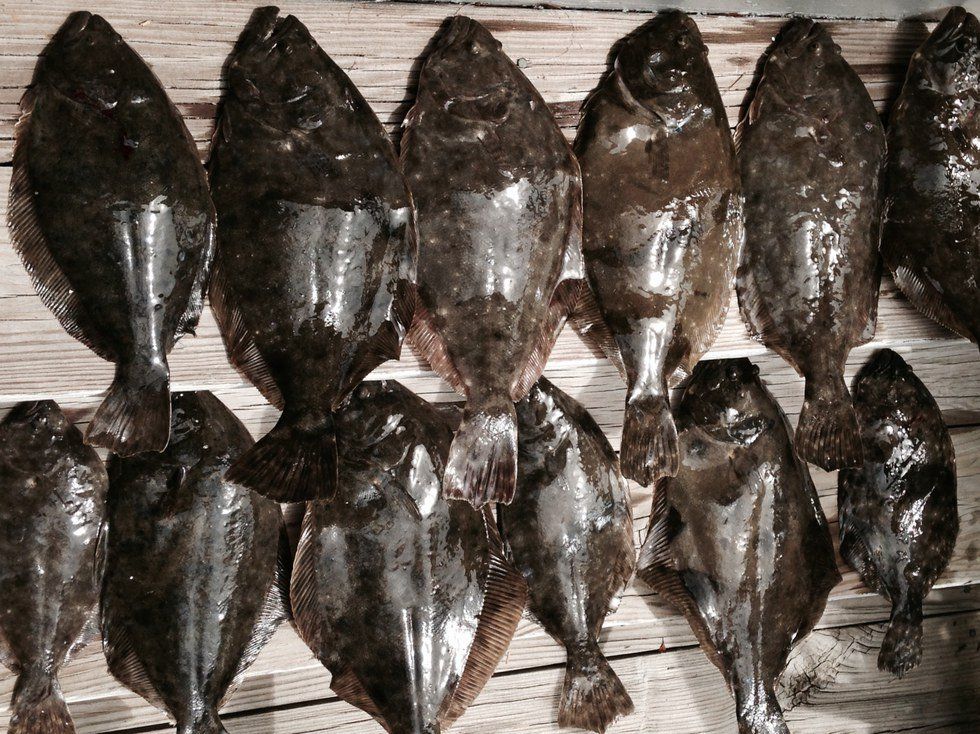 Flounder Gigging On The Carolina Coast