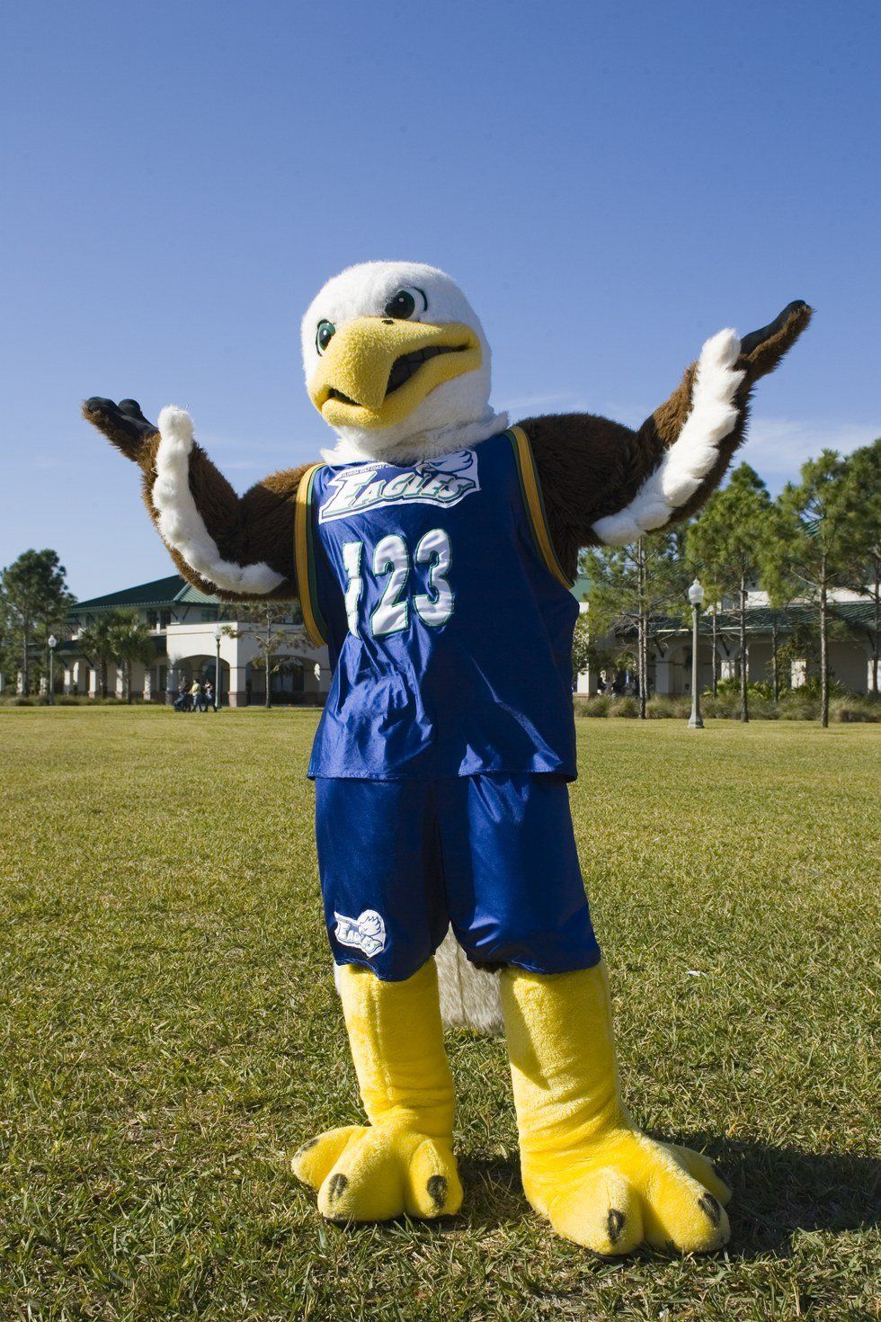 Why Florida Gulf Coast University is A Dream Destination School