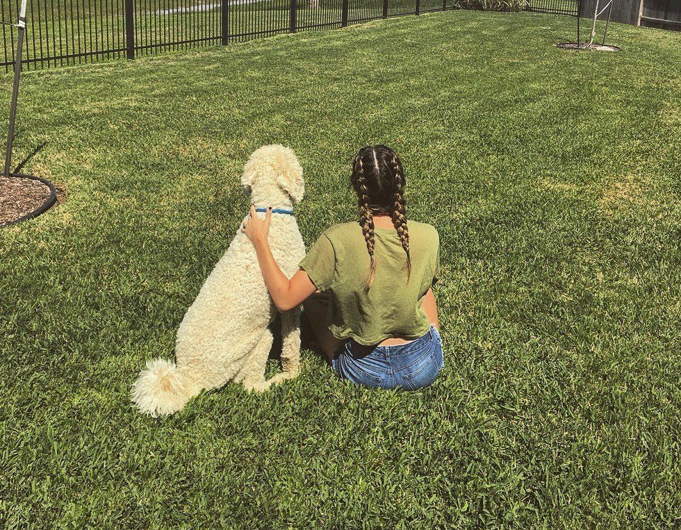 Dear Dog: A Letter To My Furry Friend