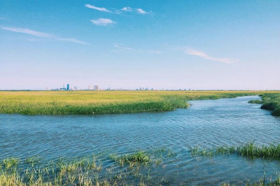 Five Ways Coastal Residents Can Help To Keep Estuaries Pristine