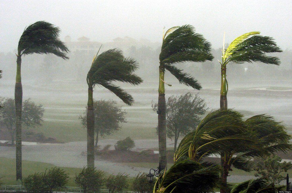 Best Things To Do During A Hurricane