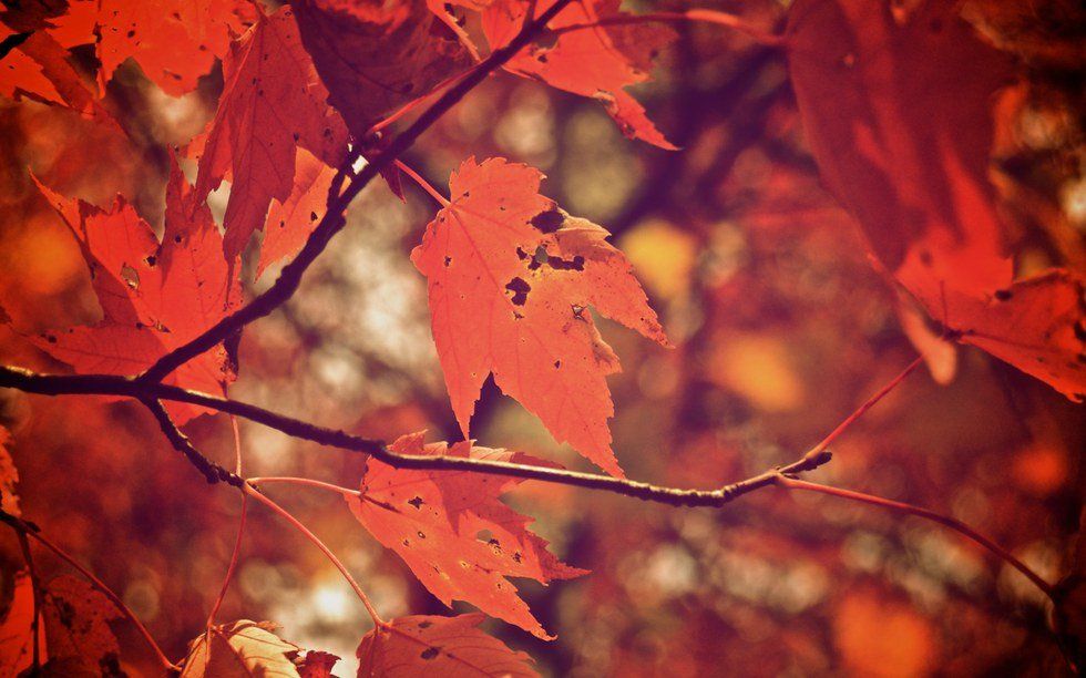 5 Reasons Why Fall Is Awesome