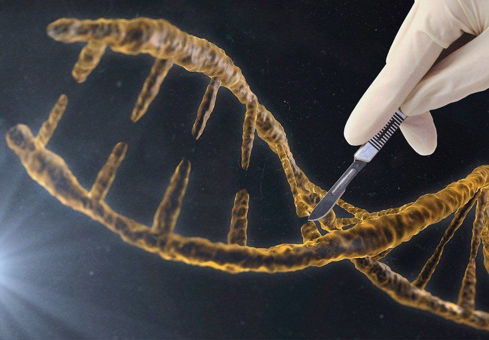 What Is CRISPR And Why Does It Matter?