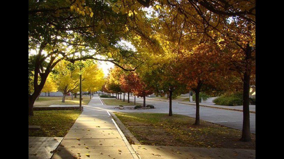 Fall In New Mexico