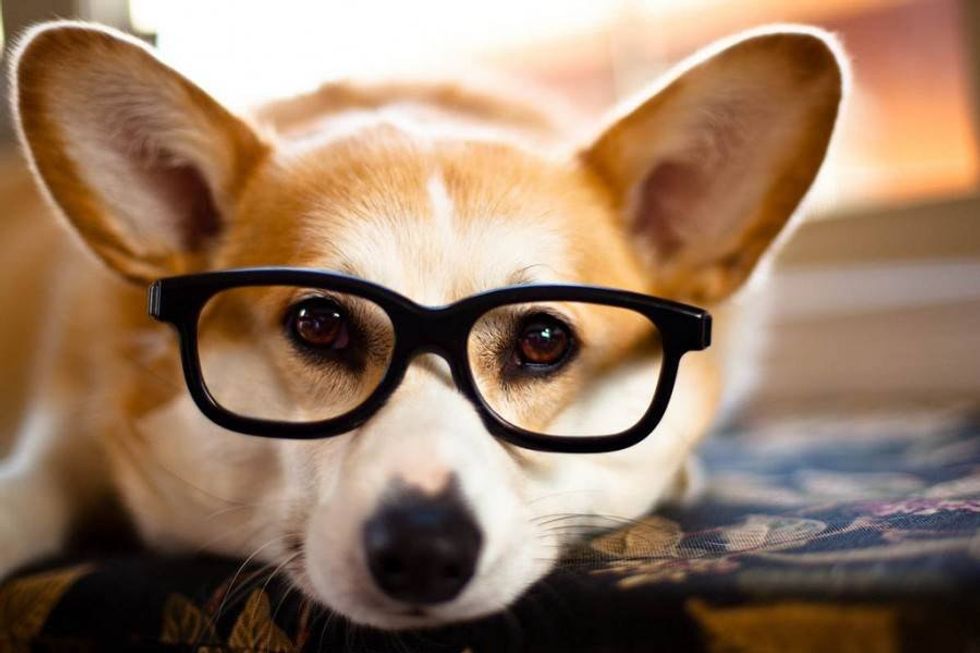 19 Struggles Only People Who Wear Glasses Understand