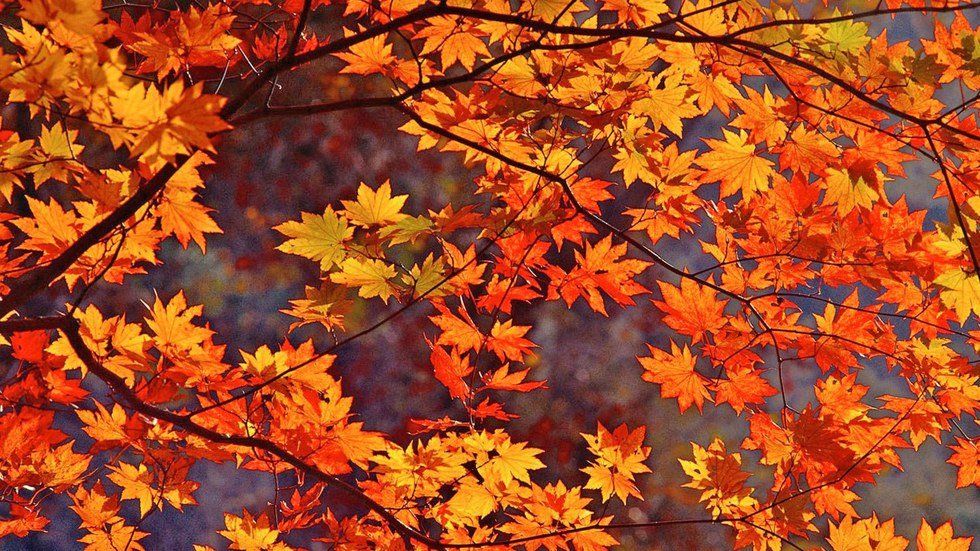 12 Reasons to Look Forward to Fall