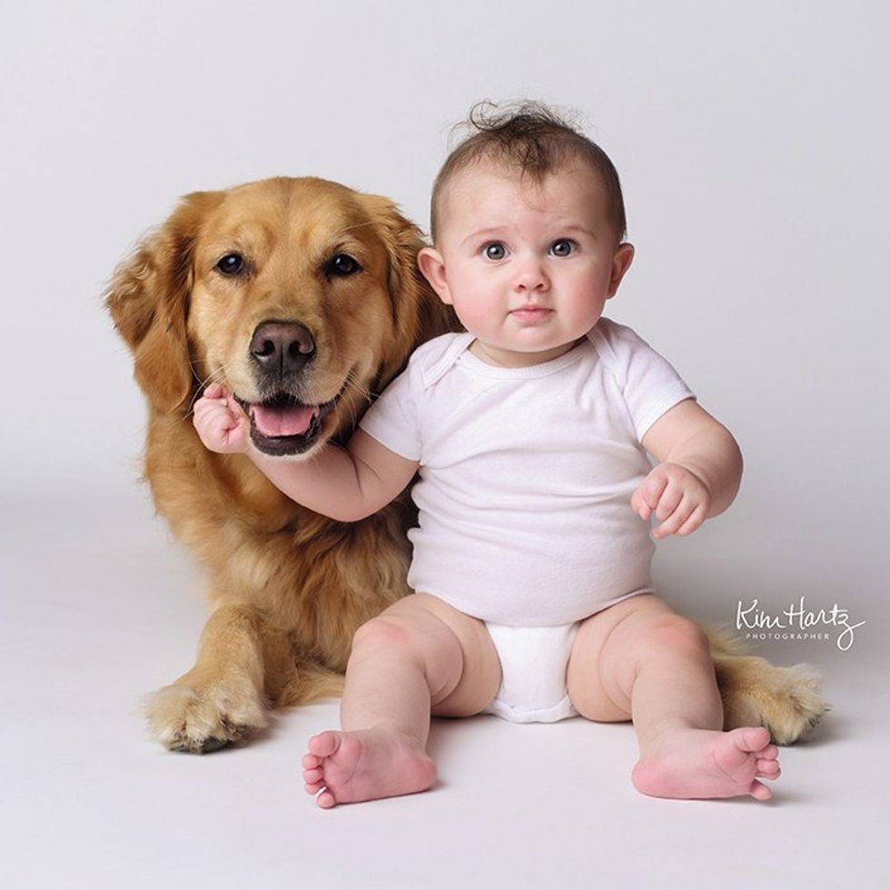 Dogs vs Babies