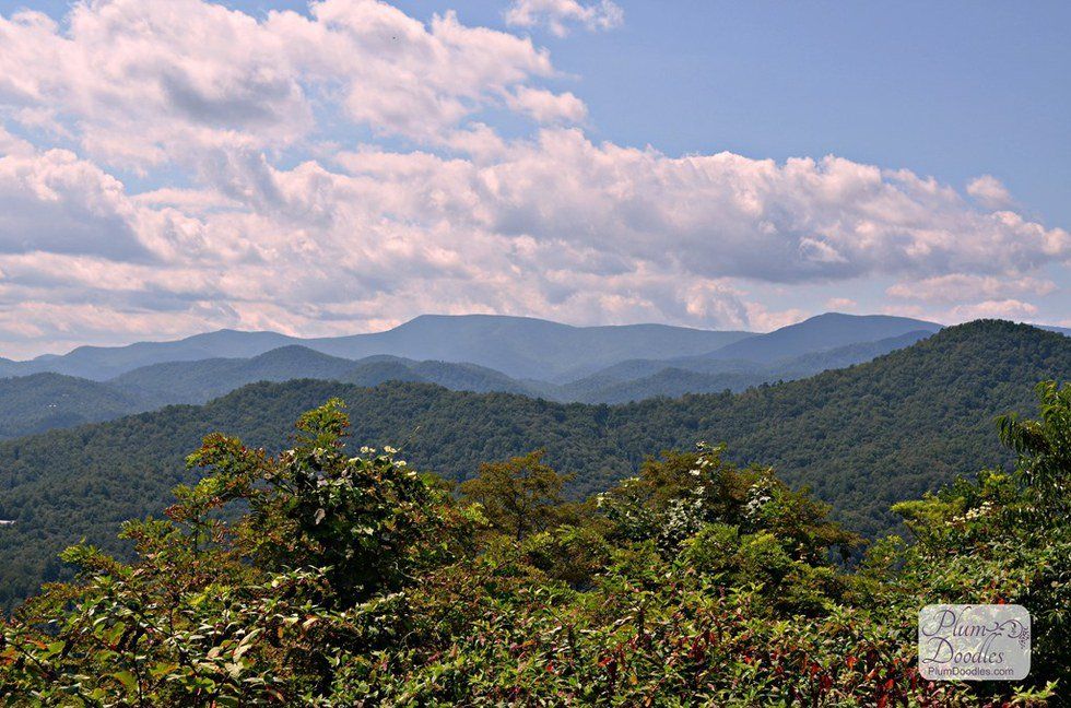 Places to Adventure in the North Georgia Mountains