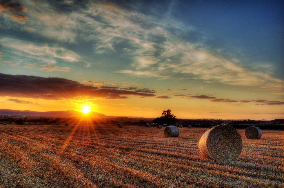 A Girl In Agriculture