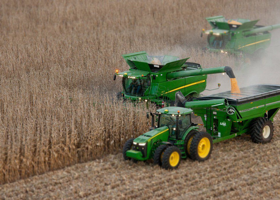 Porque Decidí Estudiar Agricultura