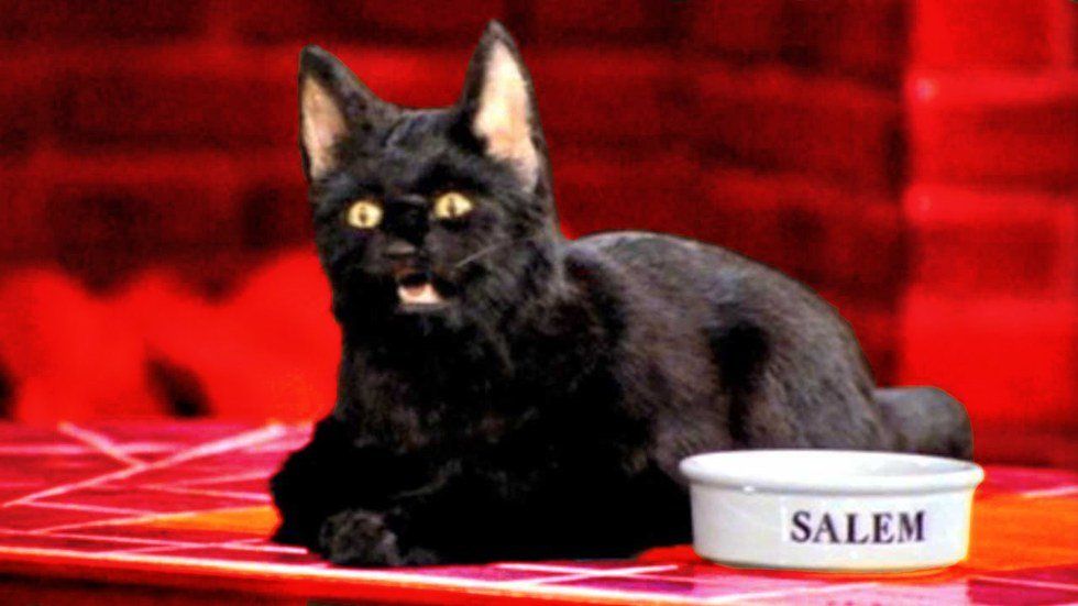 Back To School Thoughts As Told By Salem From Sabrina The Teenage Witch