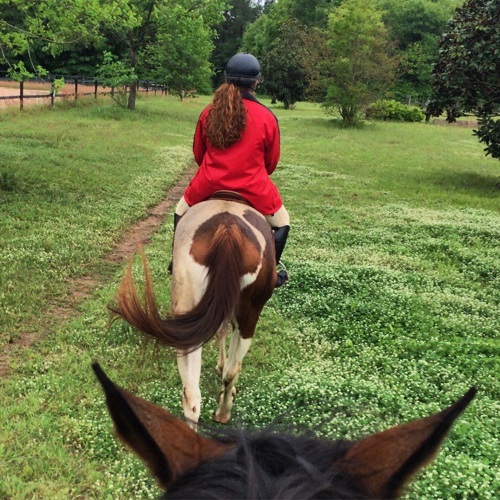 Summer At The Barn