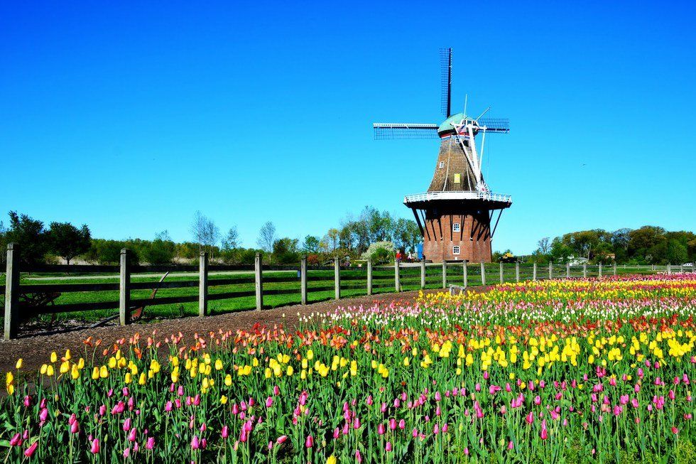 8 Activities For Your Holland, MI Bucket List