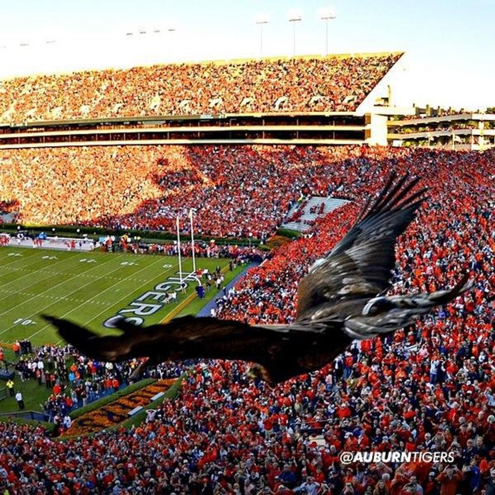 Ranking Auburn's 2016 Schedule