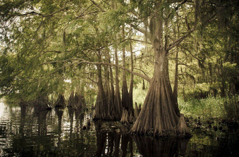 15 Signs You're From Louisiana