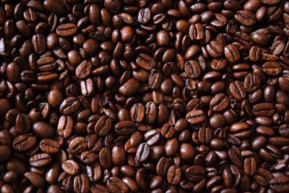 4 Facts Every Coffee Lover Must Know