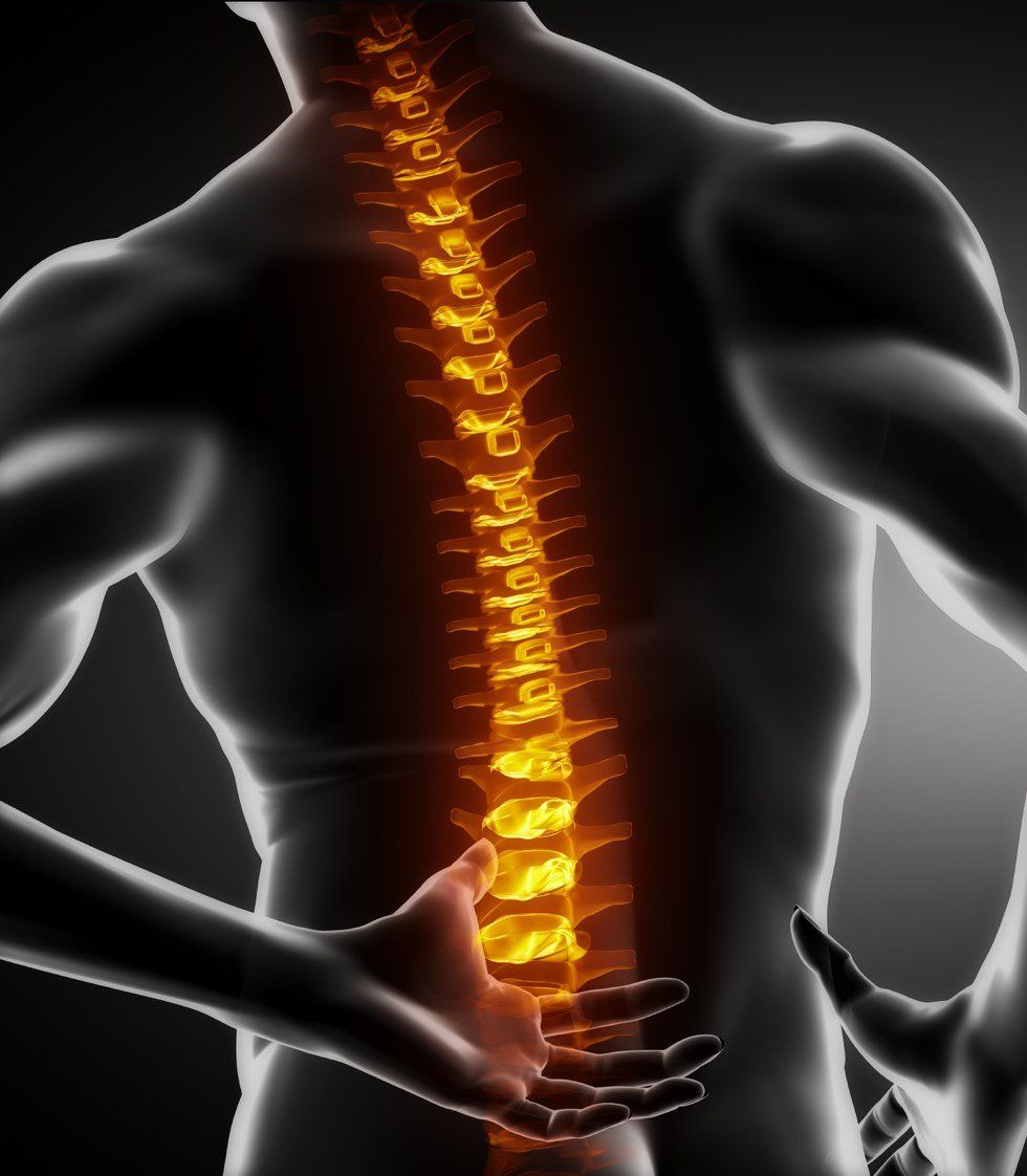 24 Vertebrae You Don't Want To Injure