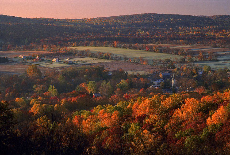 10 Things You Experience Growing Up In New Jersey