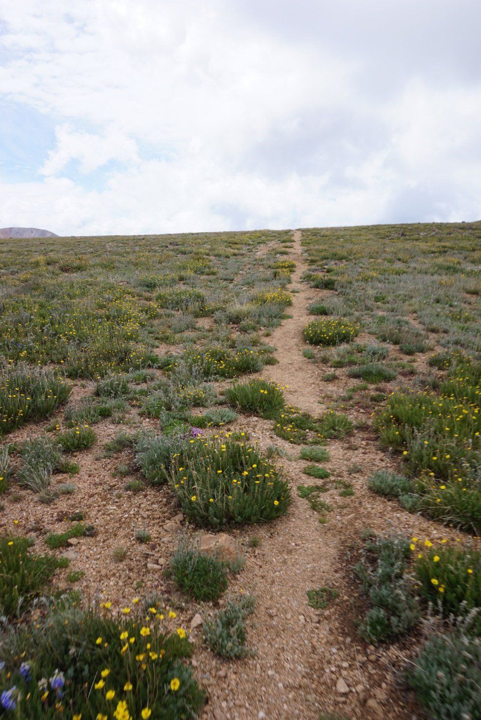 Summer Hikes I Won't Soon Forget