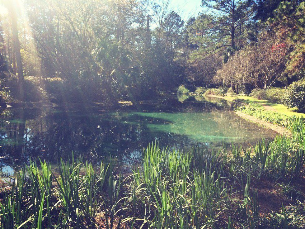 5 Hidden Natural Gems In Or Around Tallahassee That You Must Visit