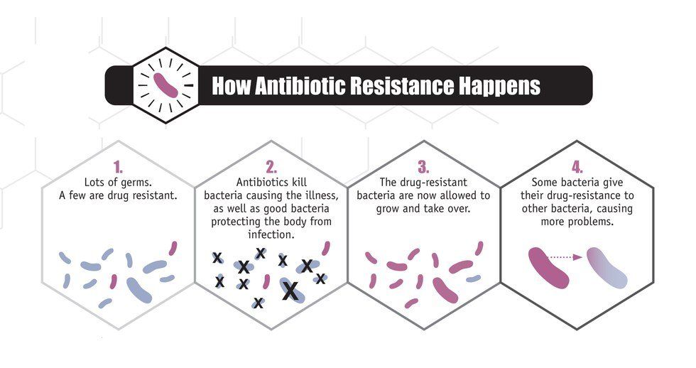 Could Antibiotic Resistant Meat Be Found In Your Local Grocery Store?